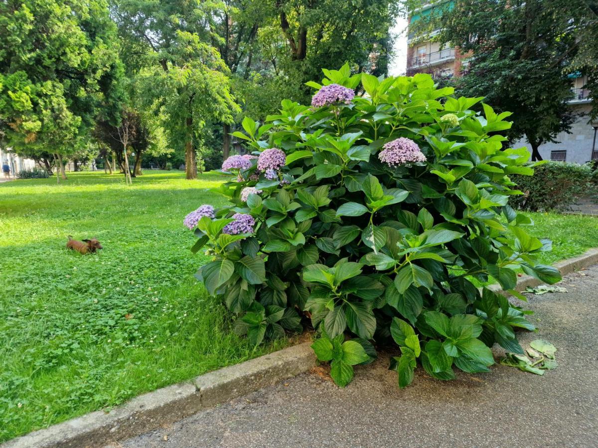 Giardino Sul Naviglio Apartment มิลาน ภายนอก รูปภาพ