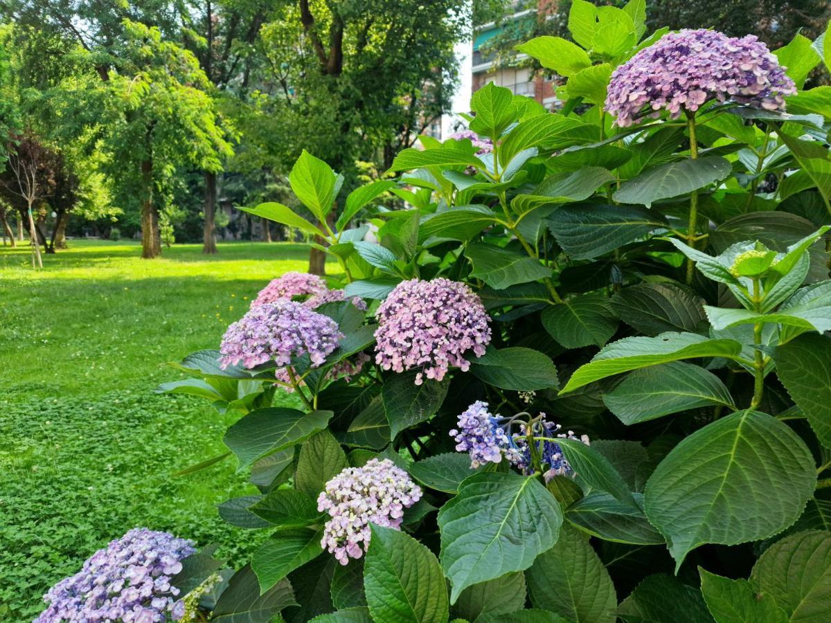 Giardino Sul Naviglio Apartment มิลาน ภายนอก รูปภาพ